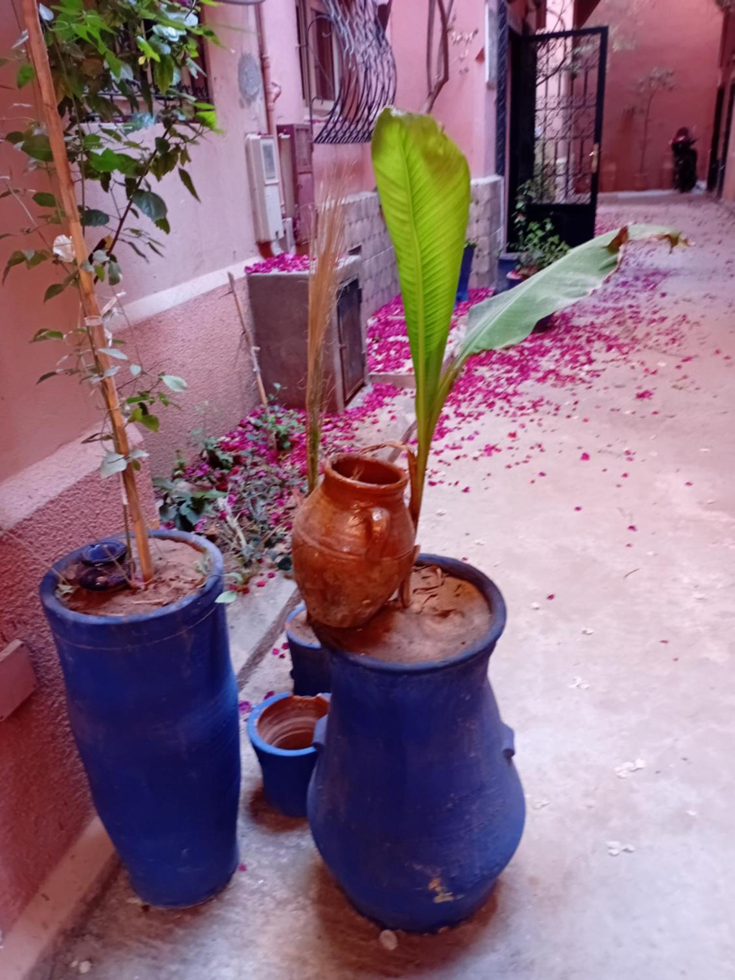 Riad Le Shams 马拉喀什 外观 照片