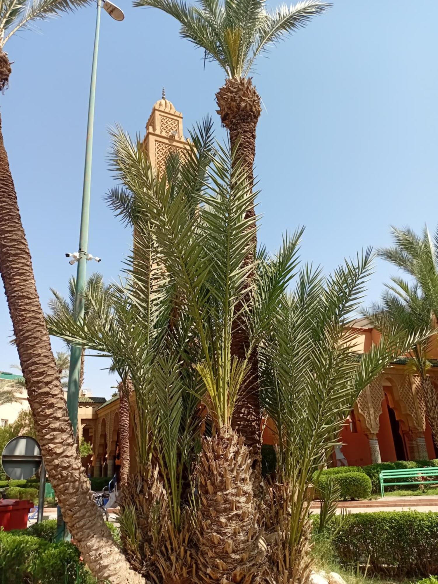 Riad Le Shams 马拉喀什 外观 照片